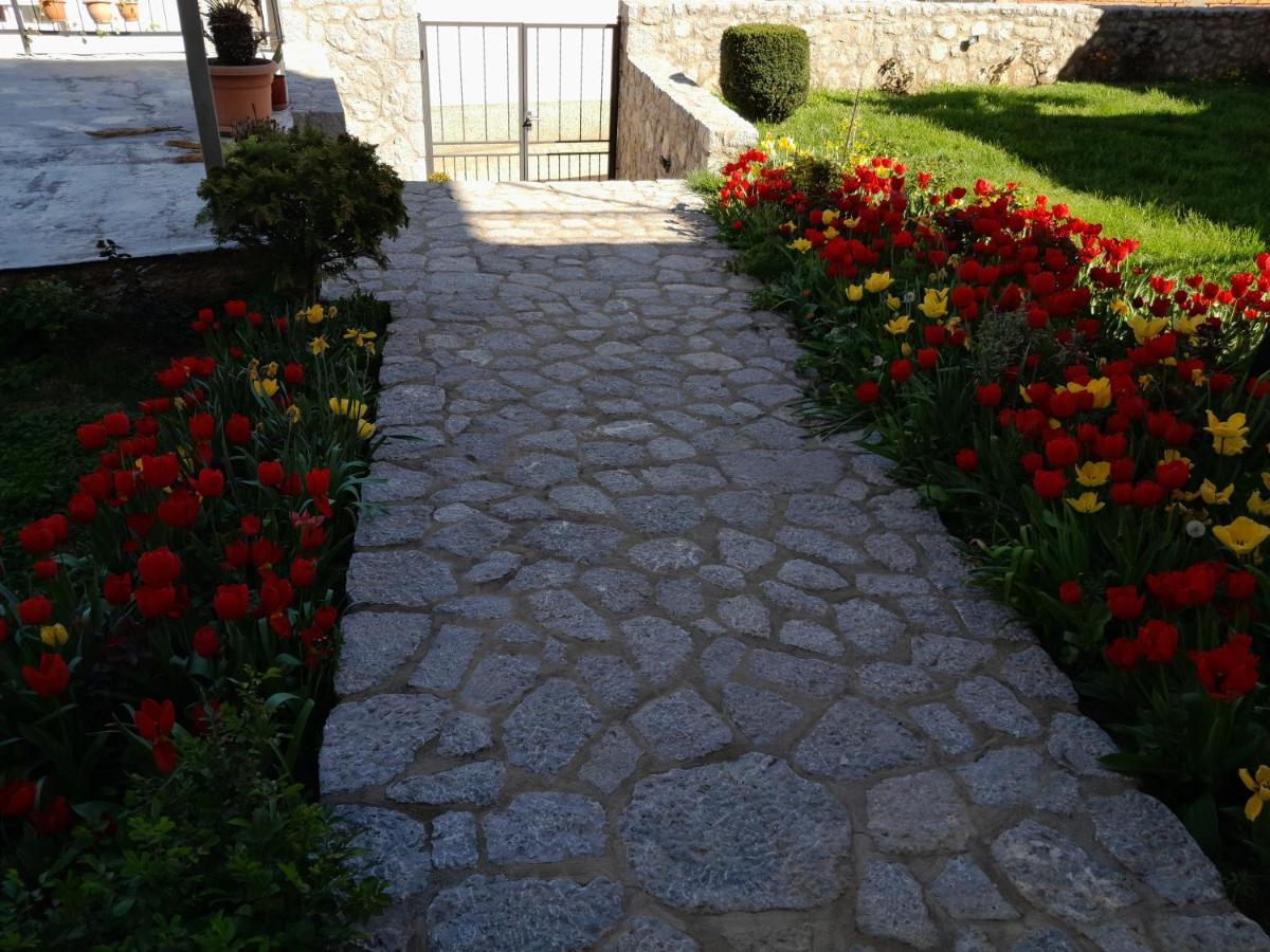 Villa Bella Ohrid Eksteriør bilde